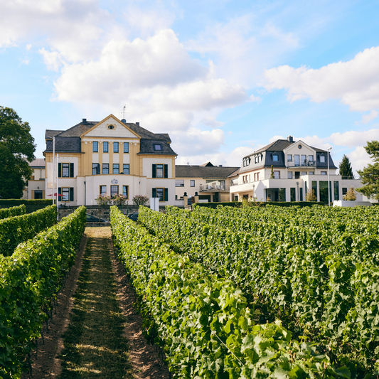 Weingut Spreitzer - nyt vinhus i vores sortiment