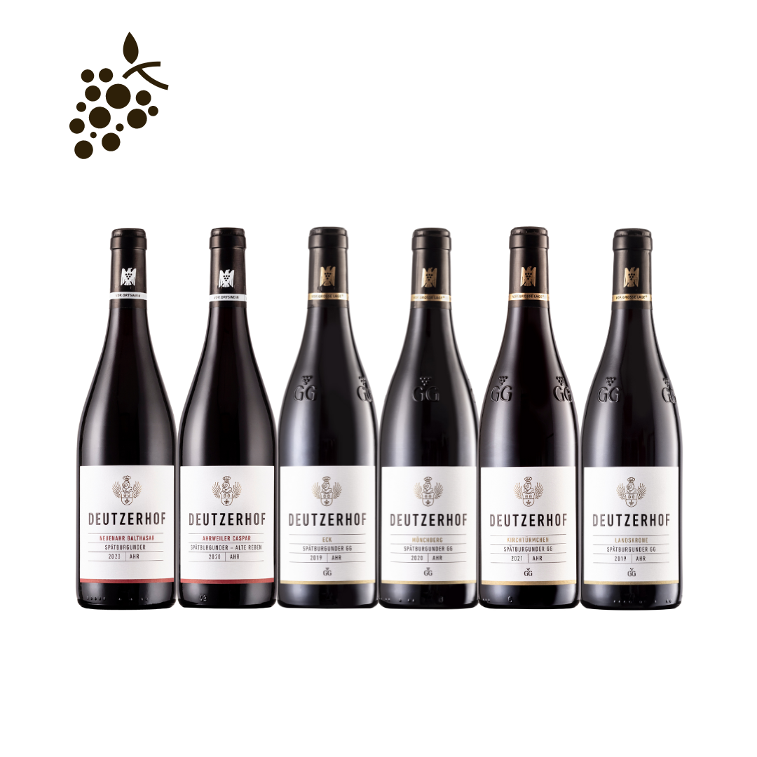 Smagekasse - Spätburgunder fra Ahr