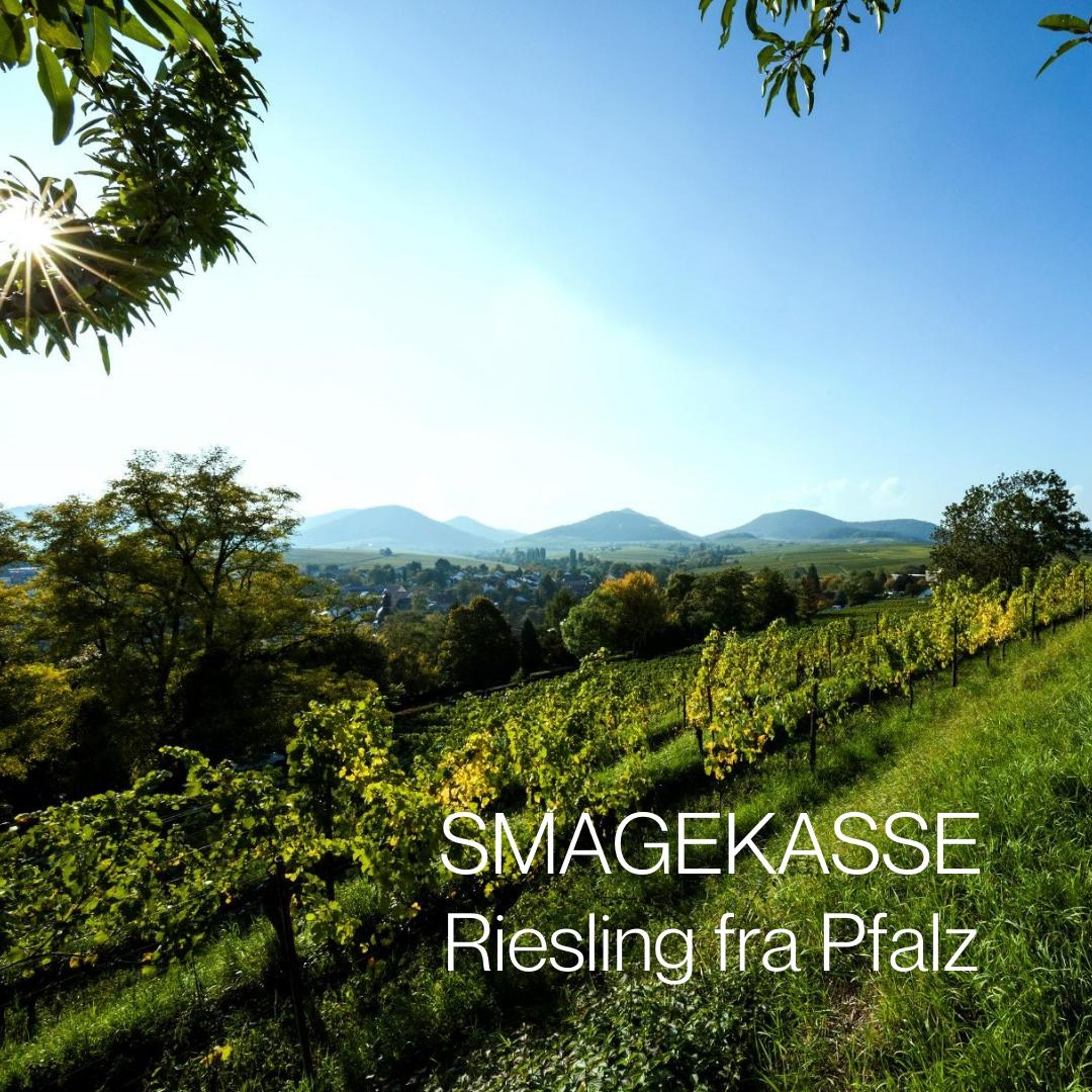 Smagekasse - Riesling fra Pfalz