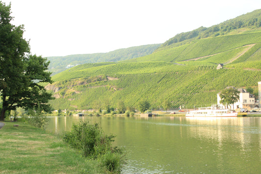 Hvis du synes du kender tysk Riesling, så prøv endnu et glas
