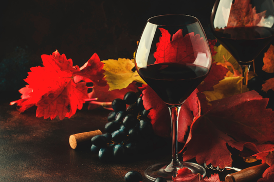 Vinsmagning - Pinot Noir & And