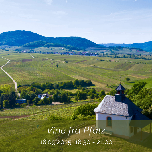 Vinsmagning: Vine fra Pfalz